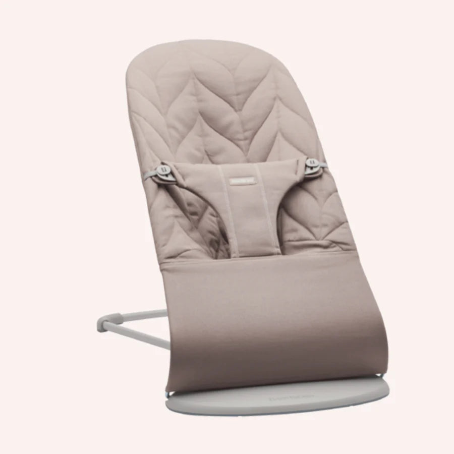 Baby bjorn best sale car