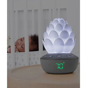 Skip Hop Terra Cry Activated Soother - Kiddie Country