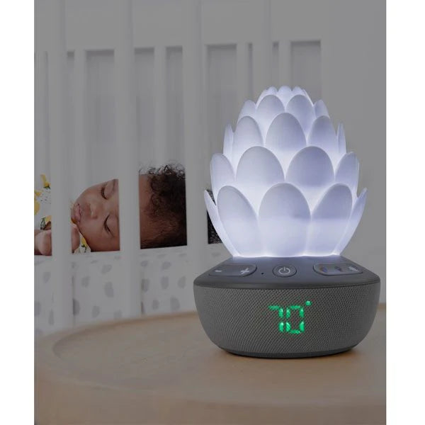 Skip Hop Terra Cry Activated Soother - Kiddie Country