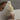 BEETL Everything Wash 250ml, ingredients close-up