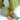 Activity Toy - Cody Crocodile