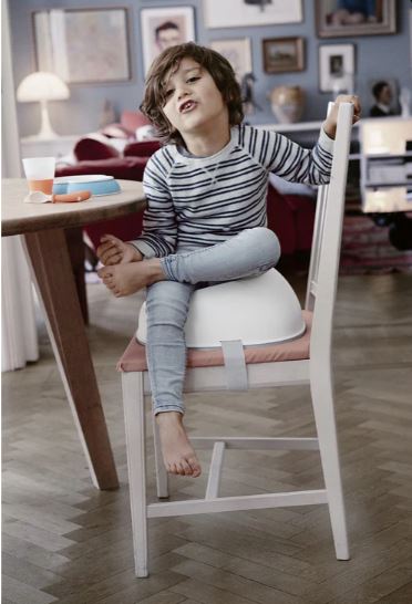 BabyBjorn Booster Seat