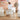 CoZee Zizee Bassinet