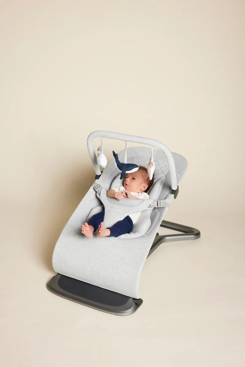 Fisher price 3 in 1 bouncer shop