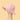 Kiin Baby Cotton Sun Hat - Eucalyptus