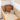 Kiin Baby Organic Cot Sheet - Rainbow Ivory Umber