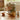 Wooden Coffee Machine