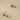Wooden Pullback Race Cars