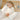 Boori Little Dreamer Kids Pillow styled in a bedroom