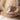 Colostrum Collectors (4pk)