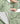 Sleeping Bag 1.0 TOG Willow