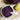 Beaba Suction Bowls - Kiddie Country