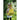 Skip Hop Bee Zoo Pack-Out And About - Kids Accessories-Skip Hop | Baby Little Planet
