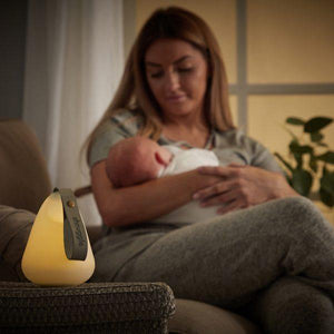 Shnuggle Moonlight Nightlight - Kiddie Country