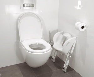 Ultimate Toilet Step and Sit Toilet Trainer - Kiddie Country