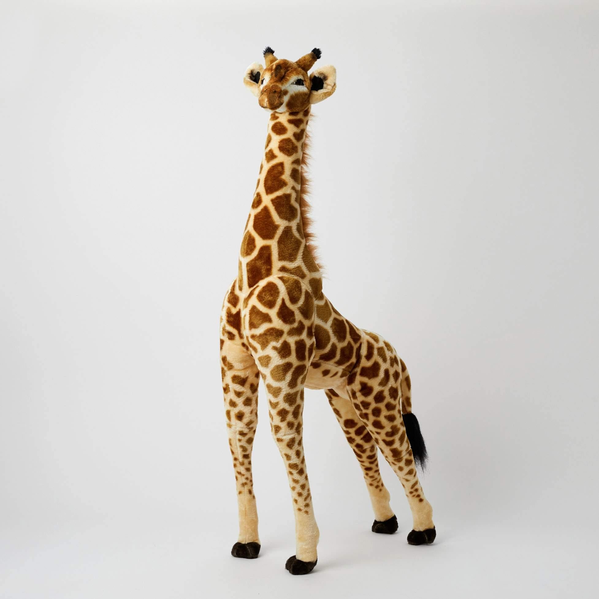 Giraffe Giant Standing - Kiddie Country