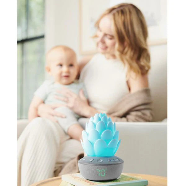 Skip Hop Terra Cry Activated Soother - Kiddie Country