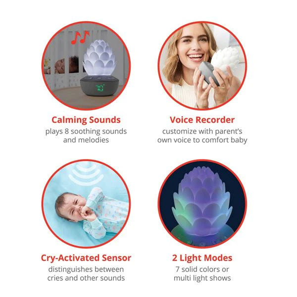 Skip Hop Terra Cry Activated Soother - Kiddie Country